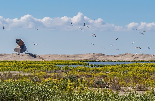 Meer natuur door kunstmatige eilandjes